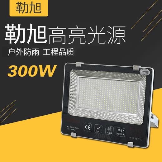 勒旭 足瓦投光灯一千珠 300W 商品图0