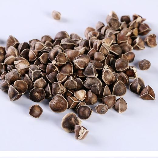 信宜市特产 赋益堂 辣木籽 100g 商品图3