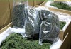 平利绞股蓝茶 嫩芽绞股蓝 龙须绞股蓝 袋装 500G 商品缩略图0