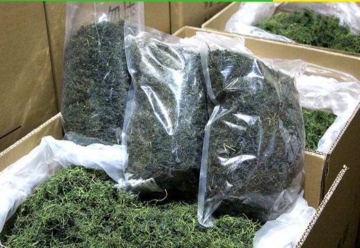 平利绞股蓝茶 嫩芽绞股蓝 龙须绞股蓝 袋装 500G 商品图0