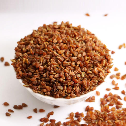 爱点苦荞茶 黑苦荞茶 全胚芽荞麦茶 罐装 500g 商品图1