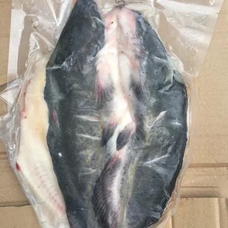 [N5~1c3]调理清江鱼免腌制直接炸、烤、煎、蒸500-600g/条 商品图5