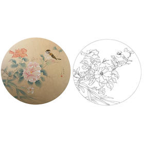 潘磊工笔花鸟小品白描底稿-A607