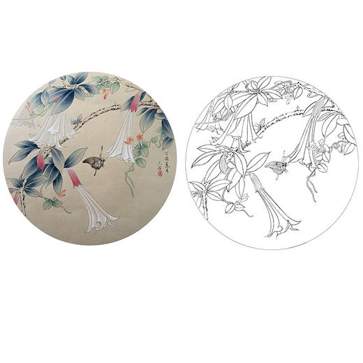 潘磊工笔花鸟小品白描底稿-A601 商品图0