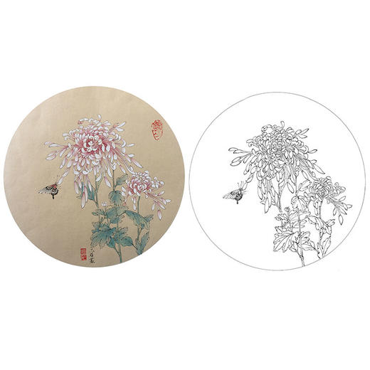 潘磊工笔花鸟小品白描底稿-A605 商品图0