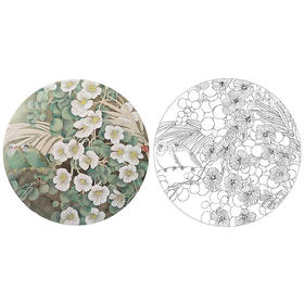 潘磊工笔花鸟小品白描底稿-A619