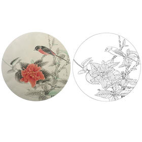潘磊工笔花鸟小品白描底稿-A613
