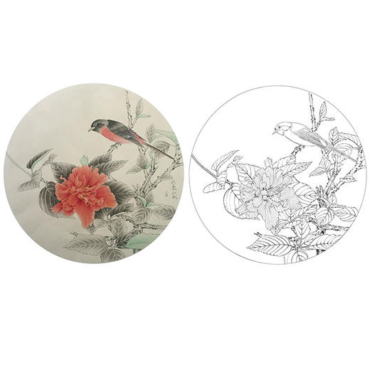 潘磊工笔花鸟小品白描底稿-A613 商品图0