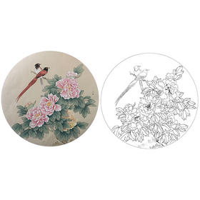 潘磊工笔花鸟小品白描底稿-A608
