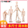 漫画12寸木人模型木头人30cm素描素材木偶人关节人偶木手冯起红 商品缩略图0