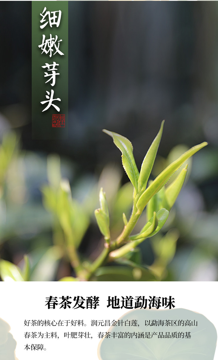 润元昌金针白莲普洱茶熟茶饼云南勐海七子饼宫廷特级茶饼茶叶357g