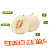 阎良蜜瓜甜糯爽口新鲜包邮 商品缩略图4
