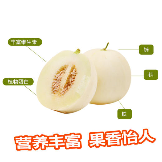 阎良蜜瓜甜糯爽口新鲜包邮 商品图4