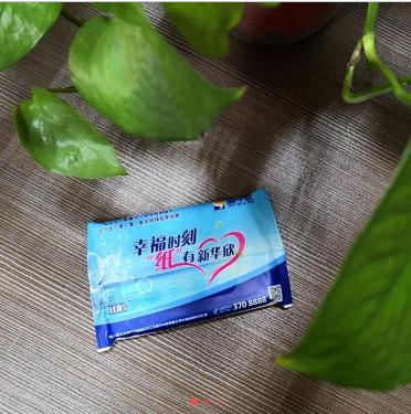 10片湿纸巾，2提（20包）-端午大回馈 商品图0