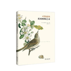 可装裱的英国博物艺术 艺术
