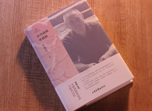 《折得疏梅香满袖》：文学无问西东 文化命运共同 商品图1