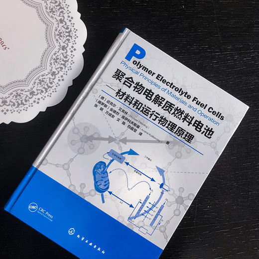 聚合物电解质燃料电池——材料和运行物理原理 商品图2
