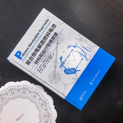 聚合物电解质燃料电池——材料和运行物理原理 商品图3