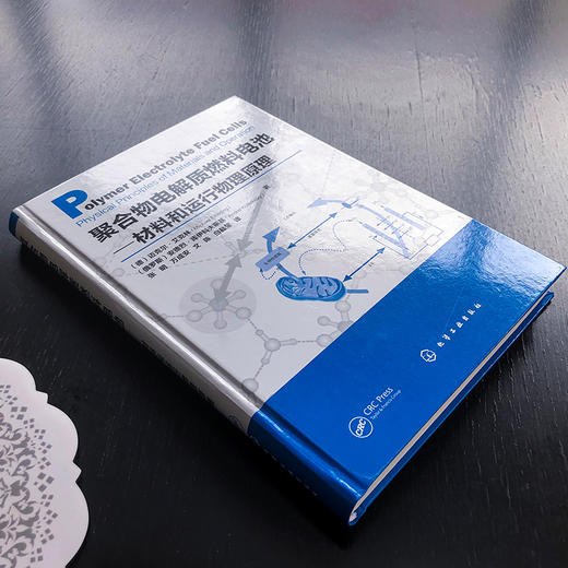 聚合物电解质燃料电池——材料和运行物理原理 商品图4