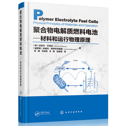聚合物电解质燃料电池——材料和运行物理原理 商品图0