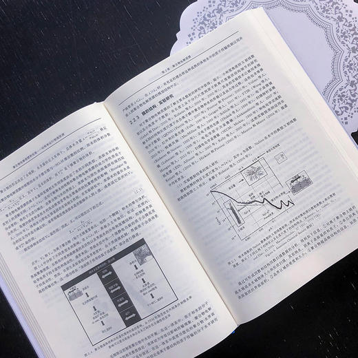 聚合物电解质燃料电池——材料和运行物理原理 商品图5