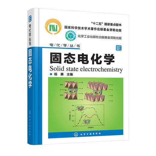 固态电化学--电化学丛书 商品图0