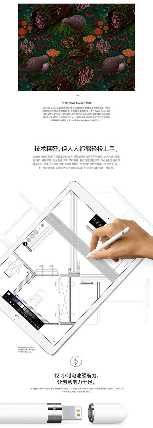 苹果平板笔 1代2代 国行正品原封 商品图0