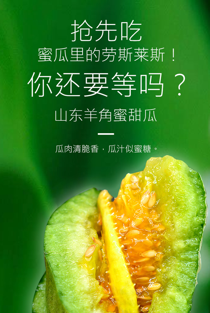 蜜瓜