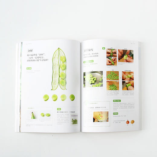 【套装】蔬菜教室 春夏秋冬 商品图3