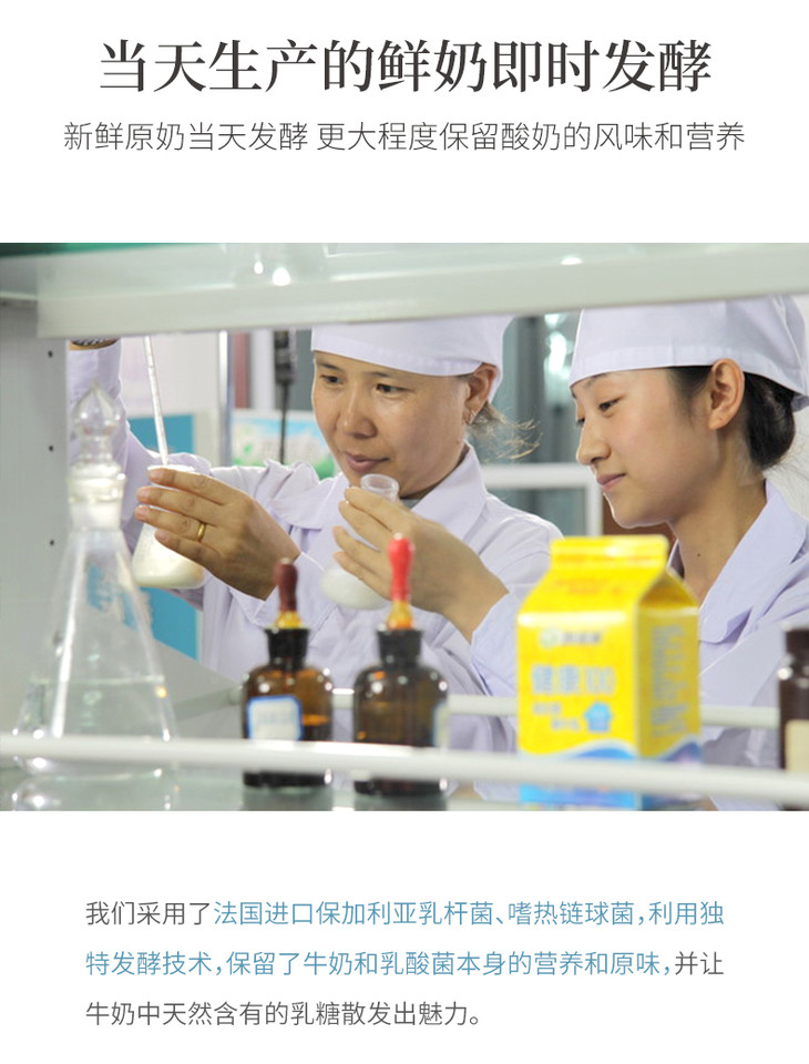 安全无添加酸奶 2斤,4斤家庭装 [只限济南]