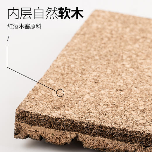 Reptile Structure-爬结构DJ树皮背景板 造景雨林缸爬宠饲养箱爬虫箱爬箱玻璃蜥蜴造景-分销 商品图3