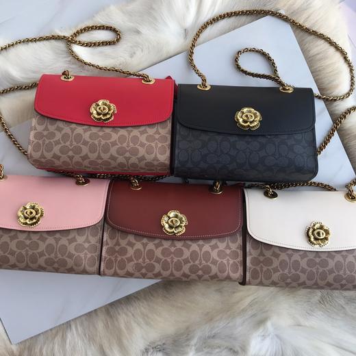供应商母亲节福利 C家包08 今年最火Parker系列五色 尺寸26x17x10cm 商品图0