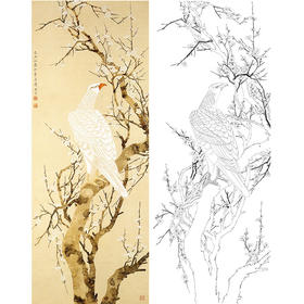 陈之佛竖幅工笔花鸟白描底稿-梅树白鹰-QA33