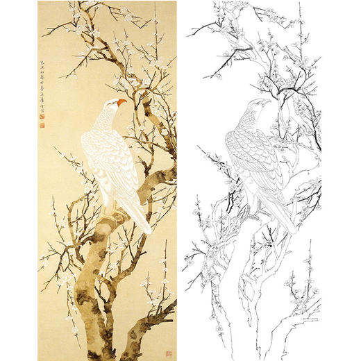 陈之佛竖幅工笔花鸟白描底稿-梅树白鹰-QA33 商品图0