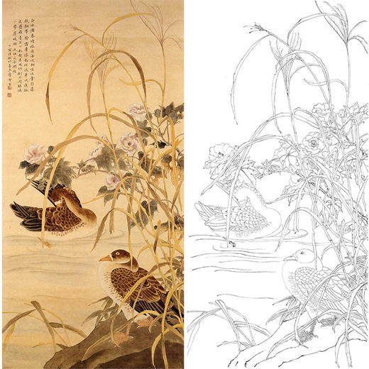陈之佛竖幅工笔花鸟白描底稿《浴雁》-多种白描尺寸可选-QA41 商品图0