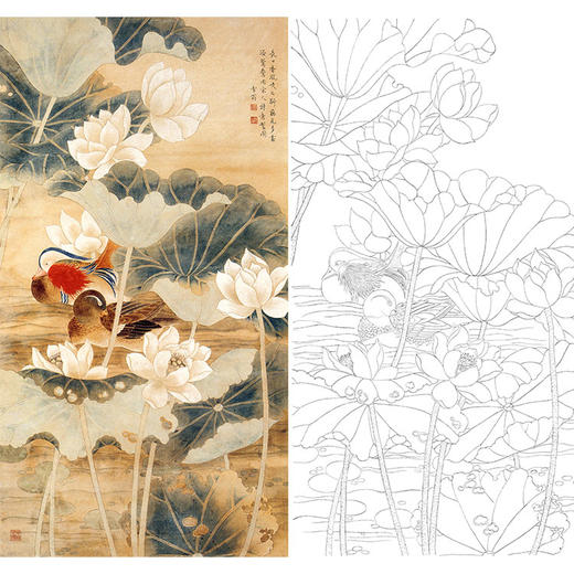 陈之佛竖幅工笔花鸟白描底稿-荷花鸳鸯-QA21 商品图0