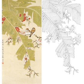 陈之佛竖幅工笔花鸟白描底稿《蕉荫藏小鸟》-多种白描尺寸可选-QA26