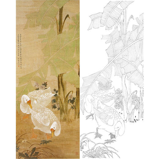 陈之佛竖幅工笔花鸟白描底稿《蕉阴双鹅》-多种白描尺寸可选-QA25 商品图0