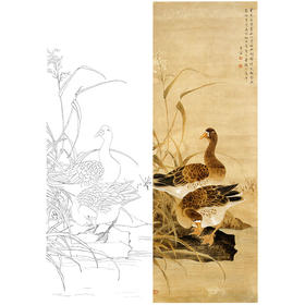 陈之佛竖幅工笔花鸟白描底稿《芦雁》-多种白描尺寸可选-QA28
