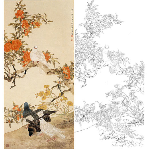 陈之佛竖幅工笔花鸟白描底稿《榴花群鸽》-多种白描尺寸可选-QA27 商品图0