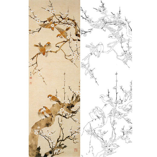 陈之佛竖幅工笔花鸟白描底稿-梅花群雀-QA32 商品图0