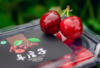 嶲州红露天车厘子 商品缩略图4