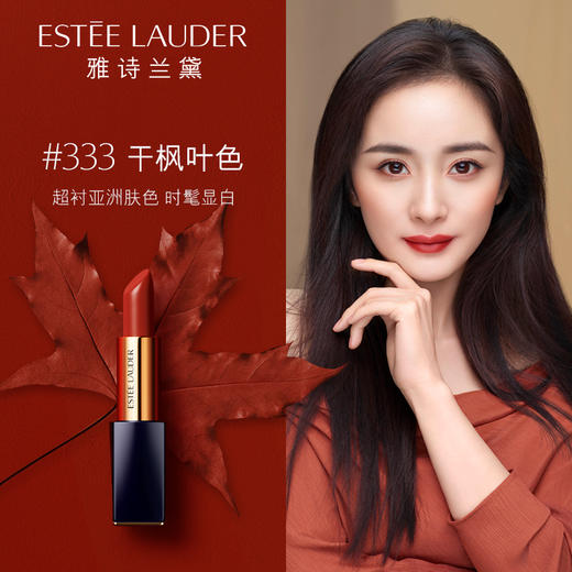 雅诗兰黛口红 260倾慕唇膏 保湿滋润防水不脱色 俏皮蔷薇 商品图0