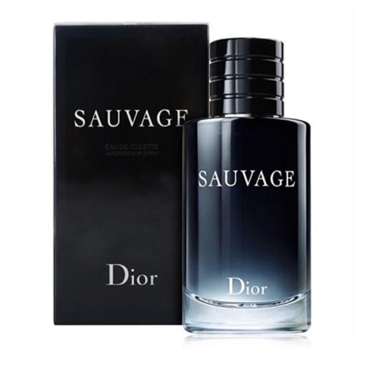 迪奥 Dior 旷野男士淡香氛 商品图0