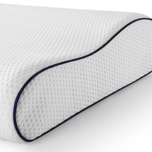 HBZX-006 HUGO BOSS 时尚记忆枕 商品图3