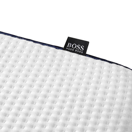 HBZX-006 HUGO BOSS 时尚记忆枕 商品图4