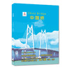 中国高铁+中国桥 全2册精装大开本 3-6-9-12岁儿童科普认知绘本 商品缩略图3