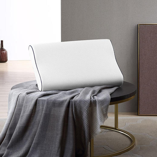 HBZX-006 HUGO BOSS 时尚记忆枕 商品图0