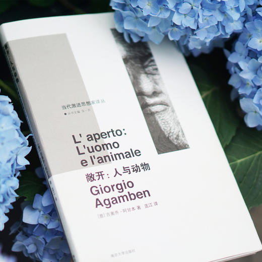 敞开：人与动物 商品图3