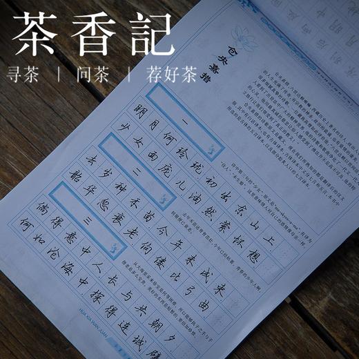 茶香记 纳兰容若仓央嘉措诗词精选 楷书行书 田英章书写 读诗练字 商品图4